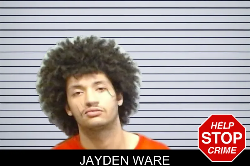 Jayden Ware mugshot