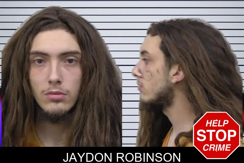 Jaydon Robinson mugshot
