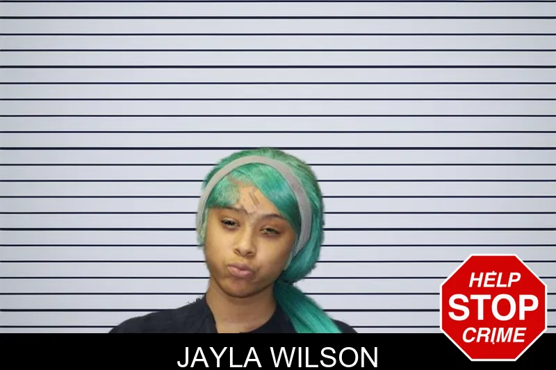 Jayla Wilson mugshot