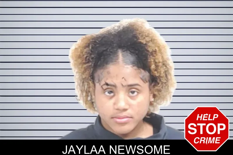 Jaylaa Newsome mugshot – Lowndes County , Georgia Jaylaa Newsome mugshot