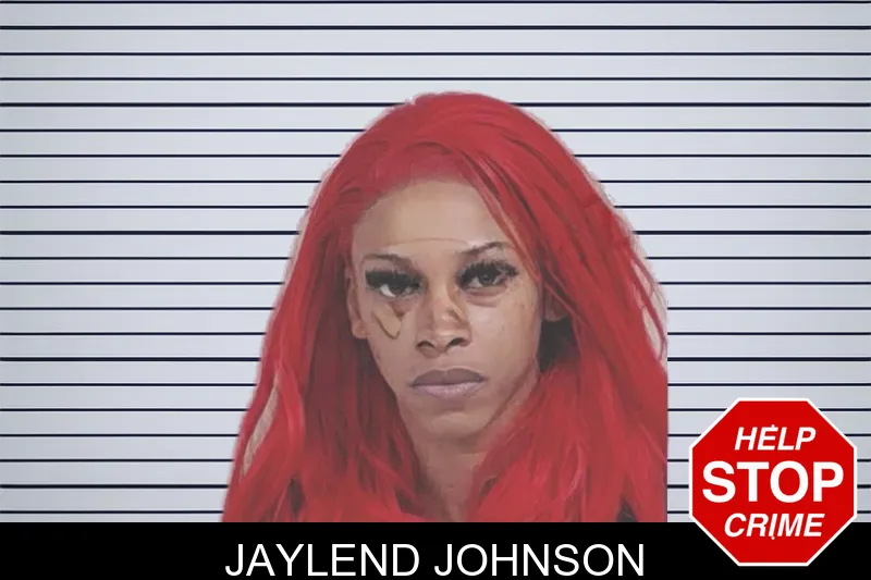 Jaylend Johnson mugshot
