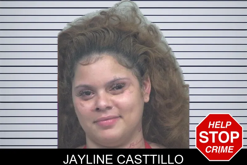 Jayline Casttillo mugshot