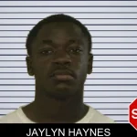 Jaylyn Haynes mugshot