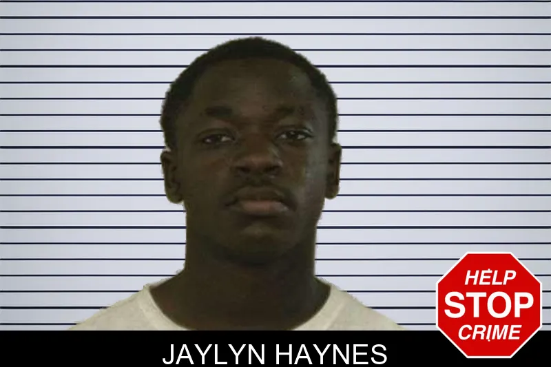 Jaylyn Haynes mugshot