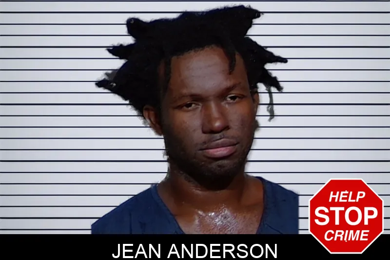 Jean Anderson mugshot