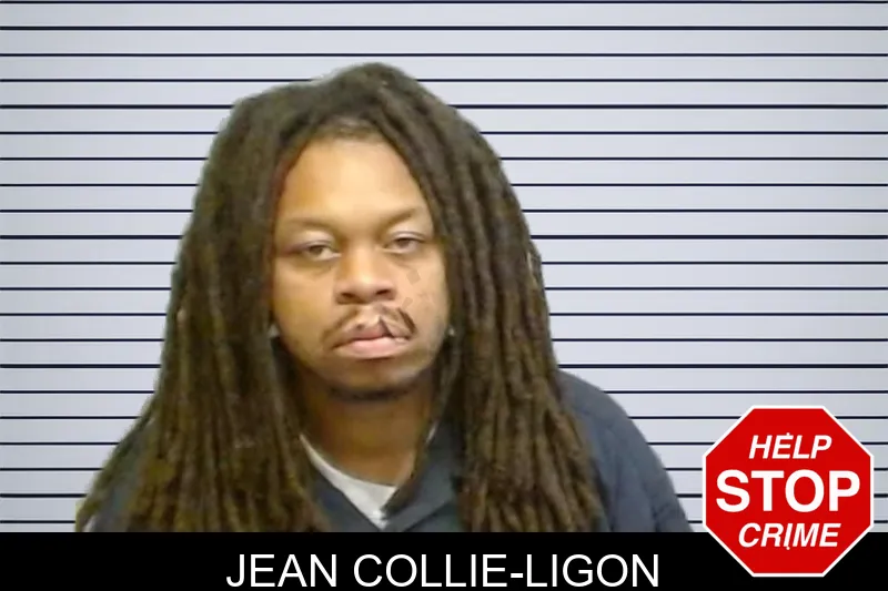 Jean Collie-Ligon mugshot – Fulton County , Georgia Jean Collie-Ligon mugshot