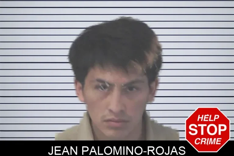 Jean Palomino-Rojas