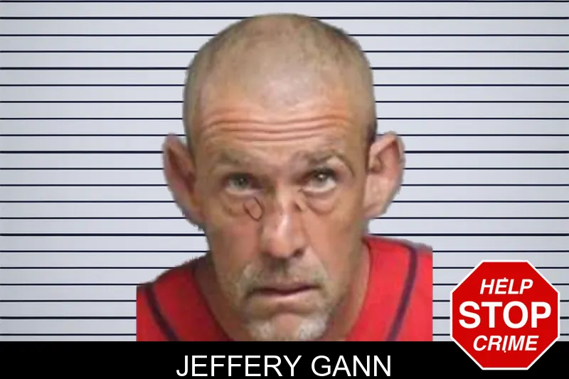 Jeffery Gann mugshot