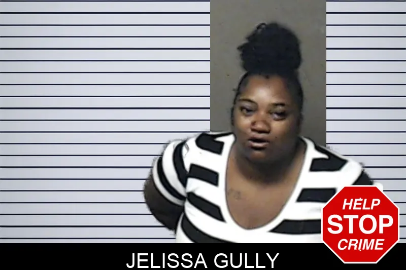 Jelissa Gully mugshot