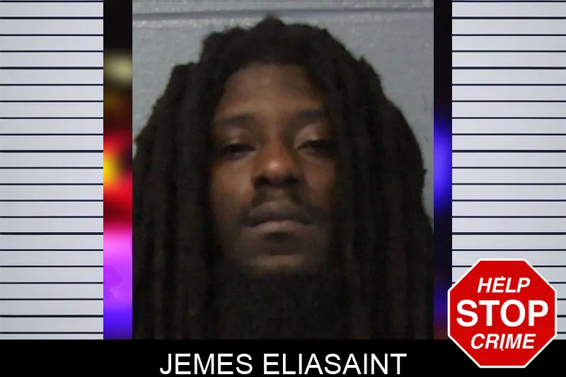 Jemes Eliasaint mugshot