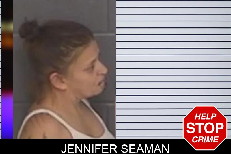 Jennifer Seaman mugshot – Barrow County , Georgia Jennifer Seaman mugshot