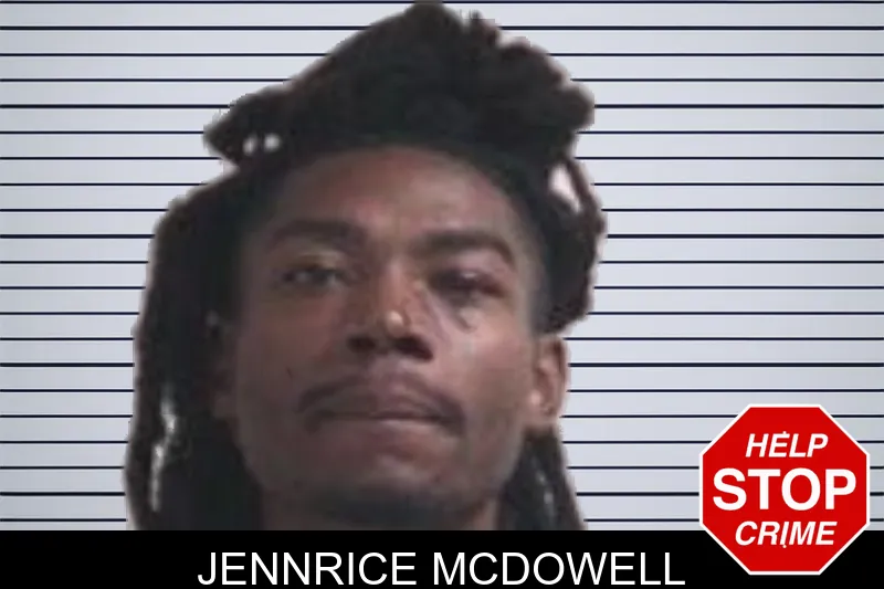 Jennrice McDowell mugshot