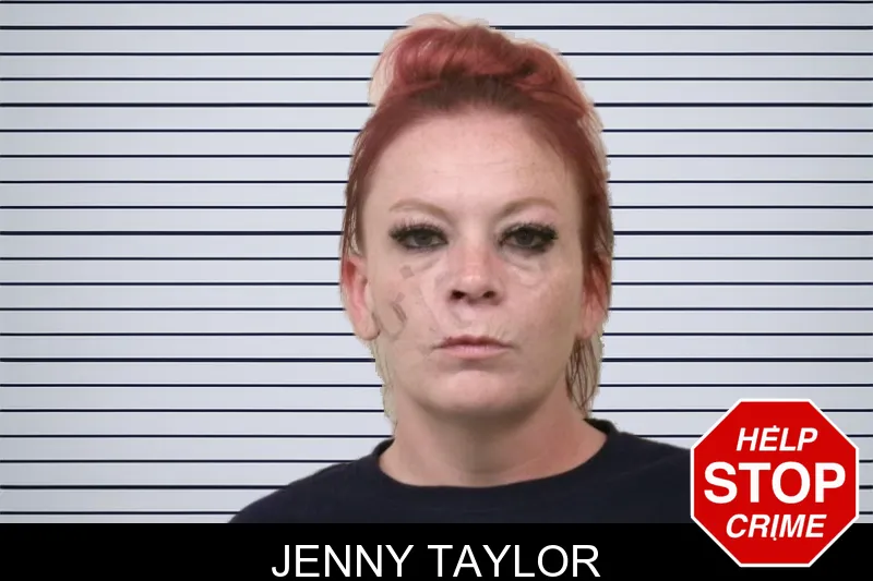 Jenny Taylor mugshot – Bulloch County , Georgia Jenny Taylor mugshot