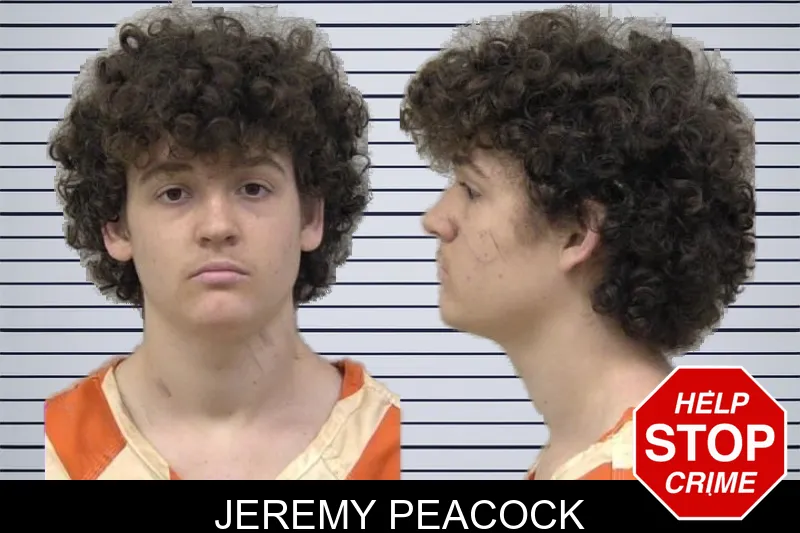 Jeremy Peacock mugshot – Paulding County , Georgia Jeremy Peacock mugshot
