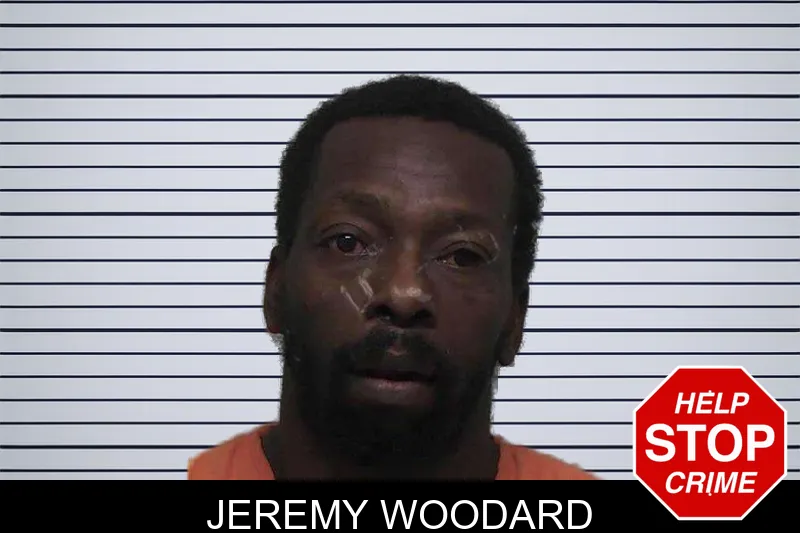 Jeremy Woodard mugshot – Laurens County , Georgia Jeremy Woodard mugshot