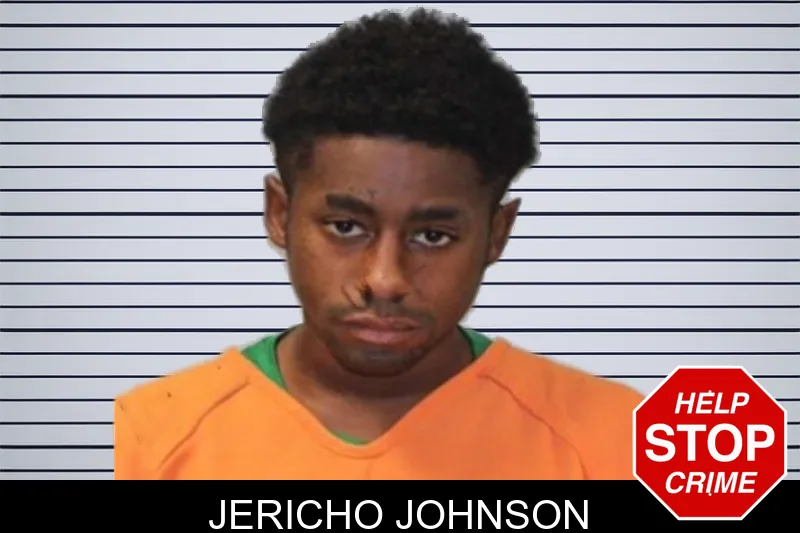 Jericho Johnson mugshot – Seminole County , Georgia Jericho Johnson mugshot