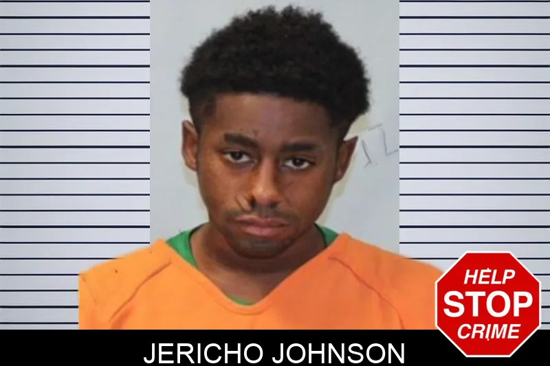 Jericho Johnson mugshot