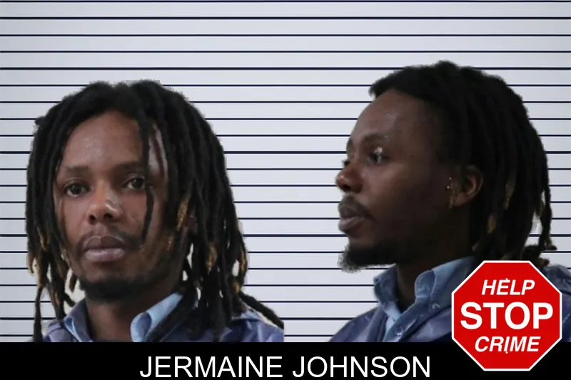Jermaine Johnson mugshot