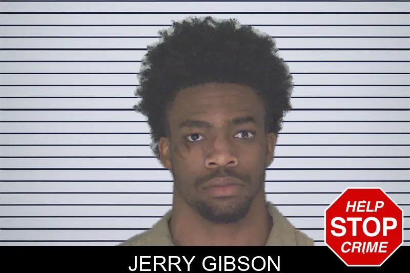 Jerry Gibson mugshot