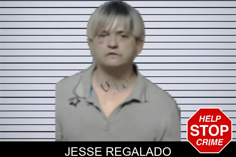 Jesse Regalado mugshot