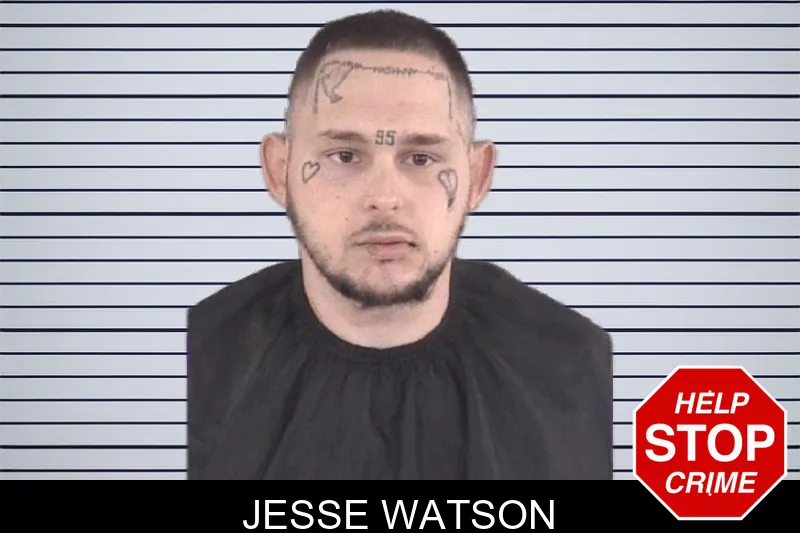 Jesse Watson mugshot – Spalding County , Georgia Jesse Watson mugshot