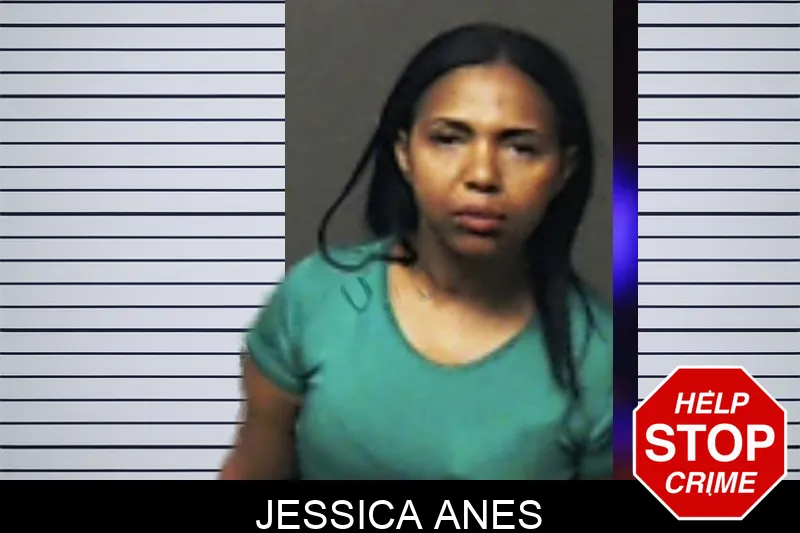 Jessica Anes mugshot