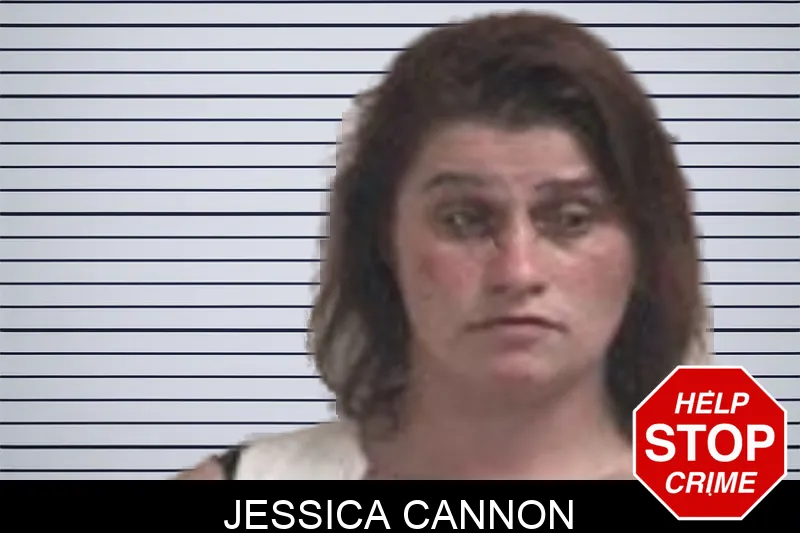 Jessica Cannon mugshot – Henry County , Georgia Jessica Cannon mugshot