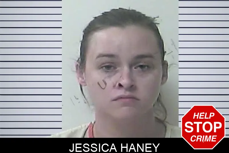 Jessica Haney mugshot – Oconee County , Georgia Jessica Haney mugshot
