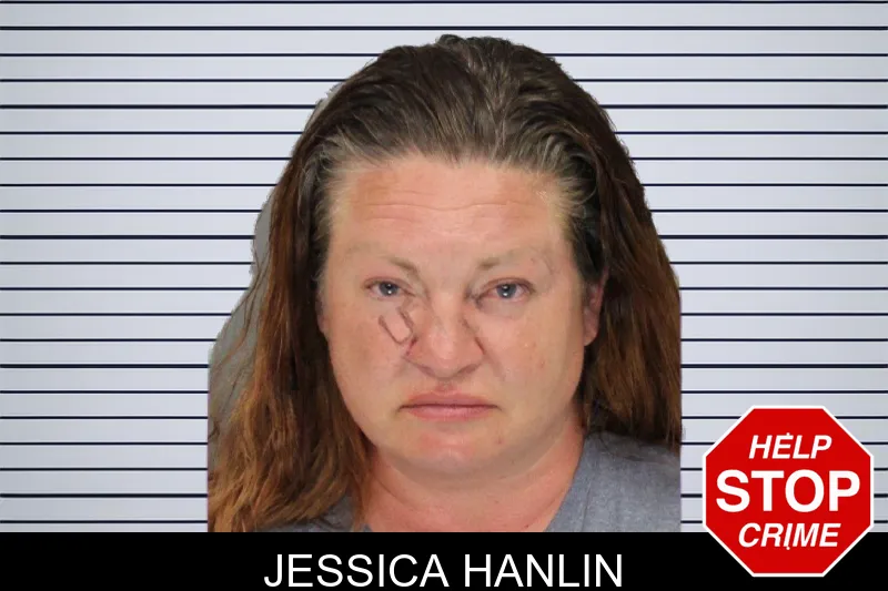 Jessica Hanlin mugshot – Cobb County , Georgia Jessica Hanlin mugshot
