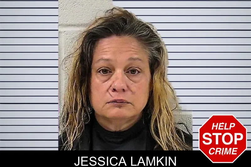Jessica Lamkin mugshot – Elbert County , Georgia Jessica Lamkin mugshot