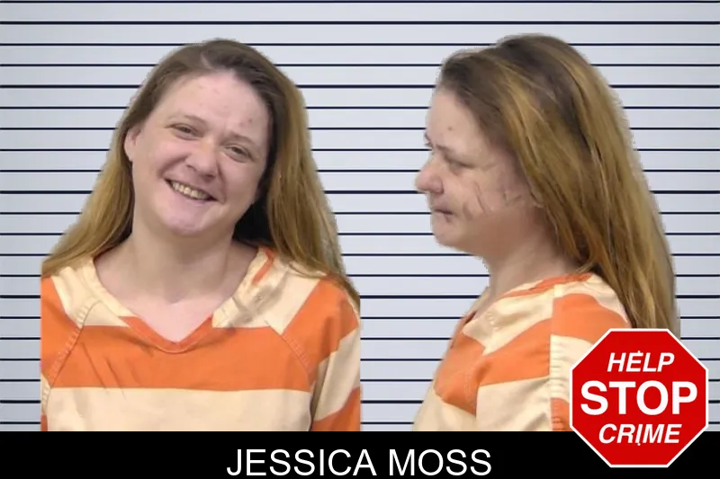Jessica Moss mugshot