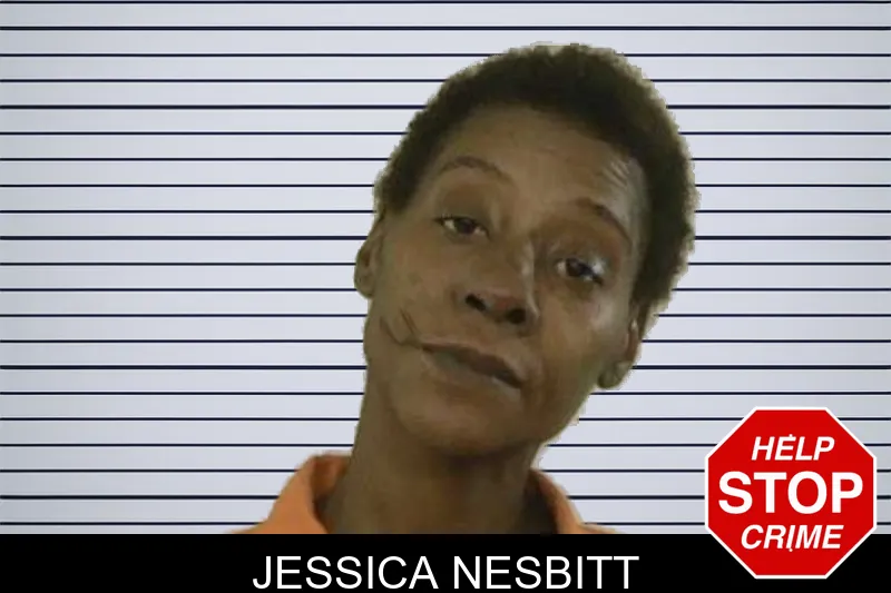 Jessica Nesbitt mugshot – Liberty County , Georgia Jessica Nesbitt mugshot