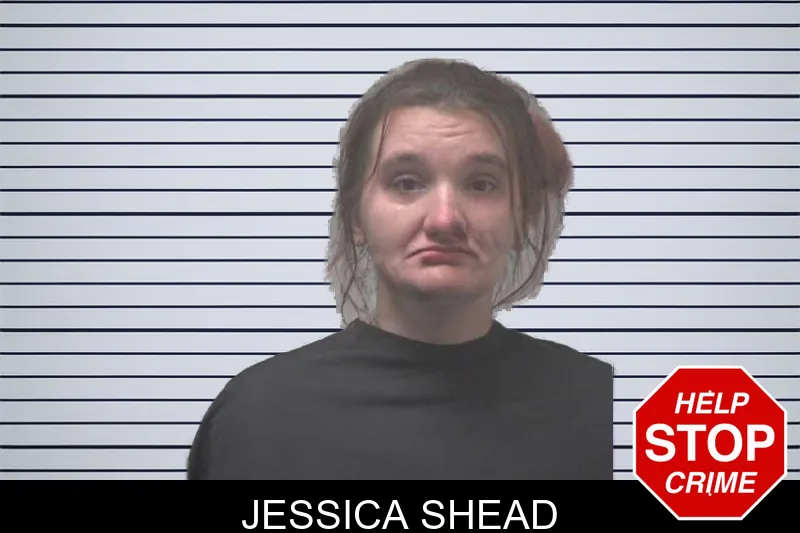 Jessica Shead mugshot – Coweta County , Georgia Jessica Shead mugshot