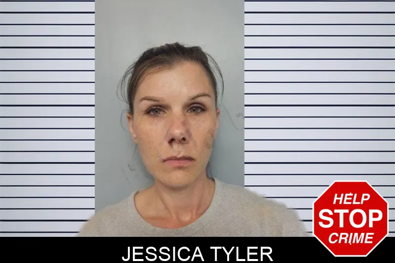 Jessica Tyler mugshot – Hall County , Georgia Jessica Tyler mugshot