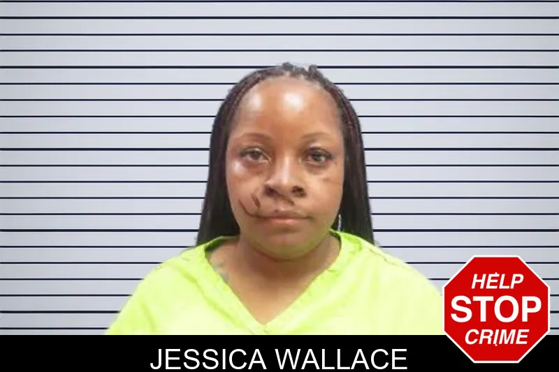 Jessica Wallace mugshot