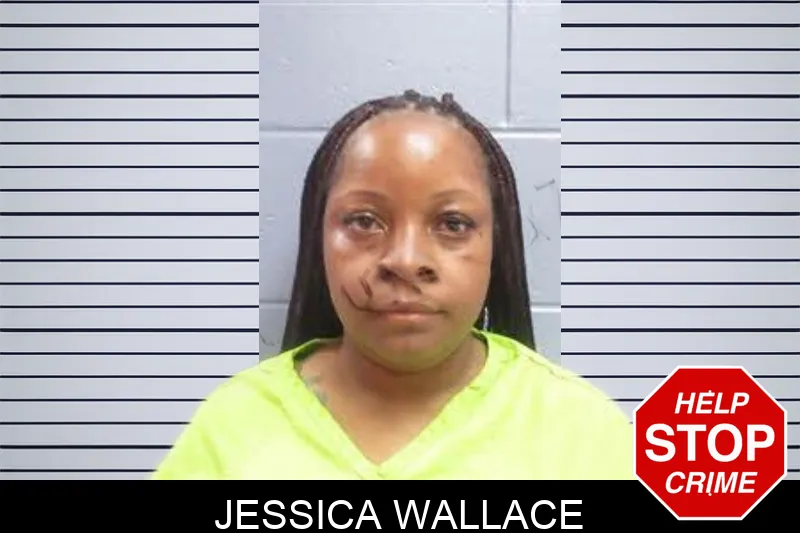 Jessica Wallace mugshot