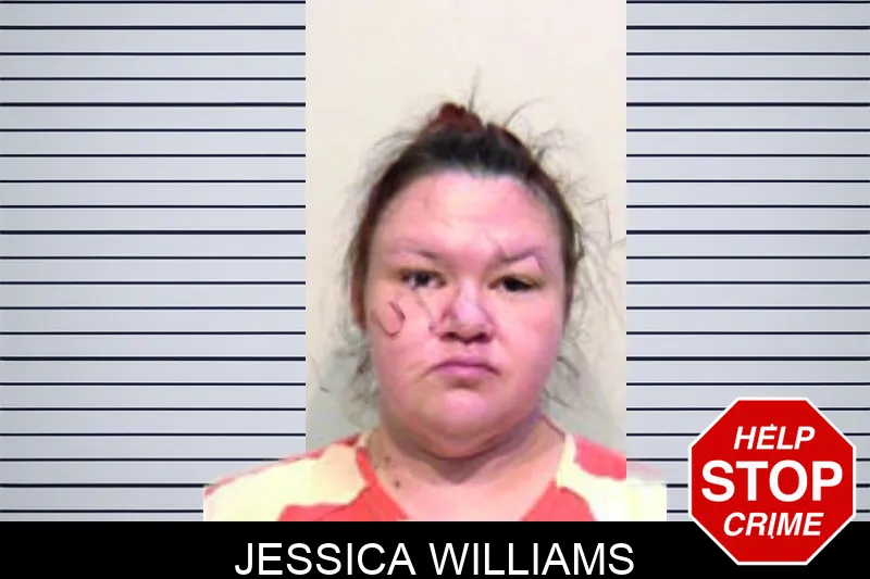 Jessica Williams mugshot – Bartow County , Georgia Jessica Williams mugshot