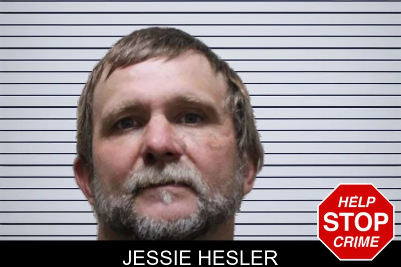Jessie Hesler mugshot