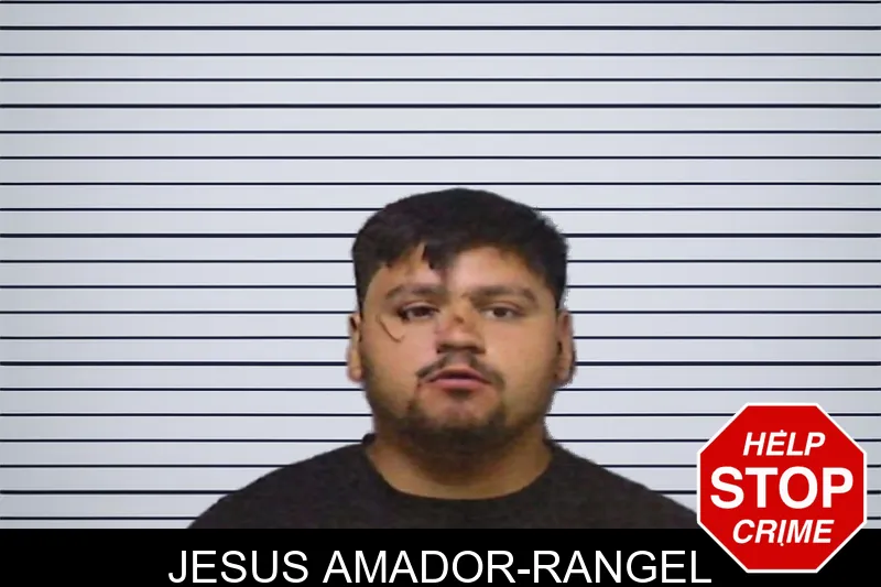 Jesus Amador-Rangel mugshot – White County , Georgia Jesus Amador-Rangel mugshot