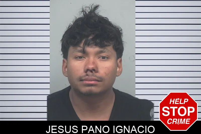 Jesus Pano Ignacio mugshot – Gwinnett County , Georgia Jesus Pano Ignacio mugshot