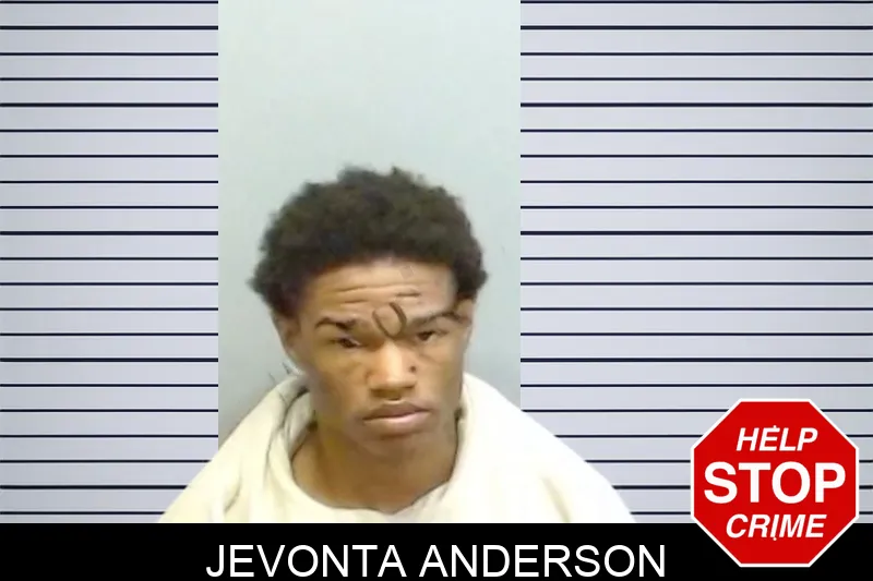 Jevonta Anderson mugshot