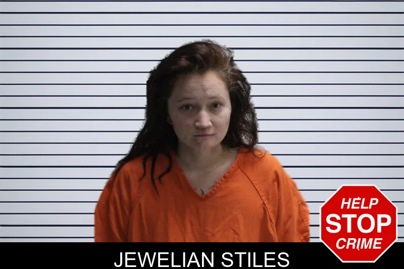 Jewelian Stiles mugshot