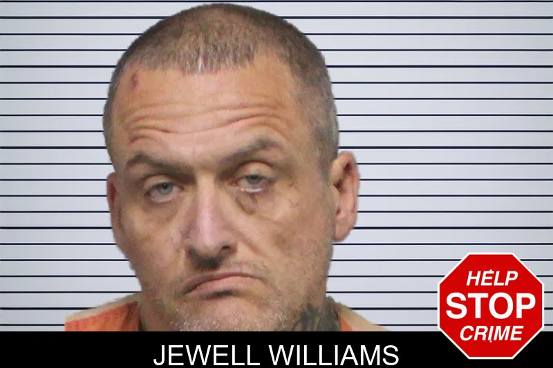 Jewell Williams mugshot – White County , Georgia Jewell Williams mugshot