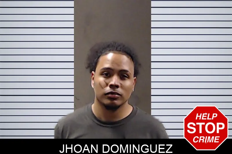 Jhoan Dominguez mugshot