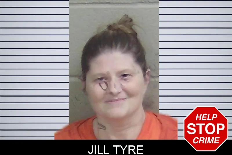 Jill Tyre mugshot – Wayne County , Georgia Jill Tyre mugshot