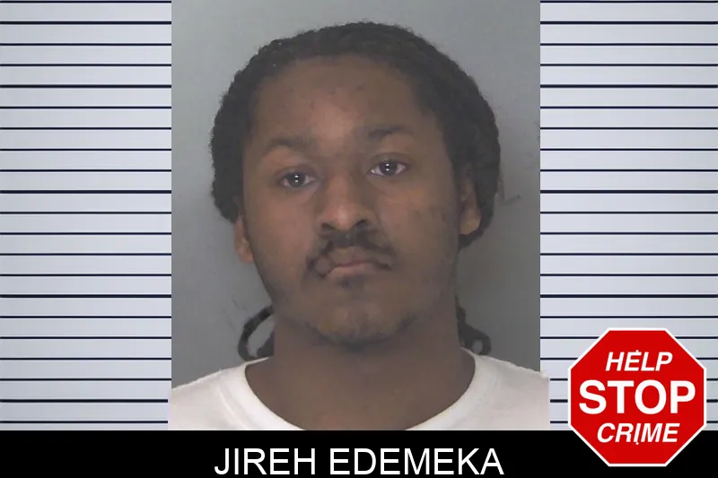 Jireh Edemeka mugshot
