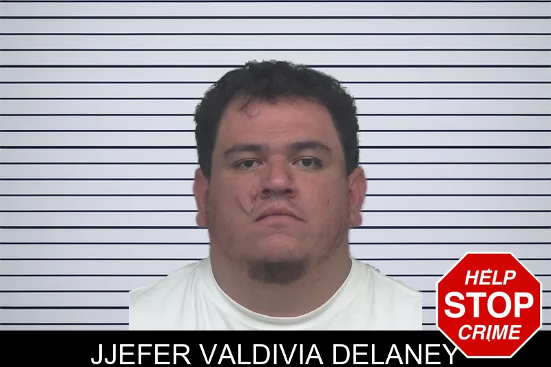 Jjefer Valdivia Delaney mugshot – Gwinnett County , Georgia Jjefer Valdivia Delaney mugshot