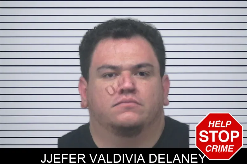 Jjefer Valdivia Delaney mugshot – Gwinnett County , Georgia Jjefer Valdivia Delaney mugshot