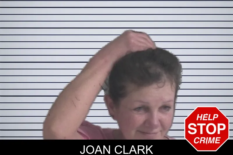 Joan Clark mugshot