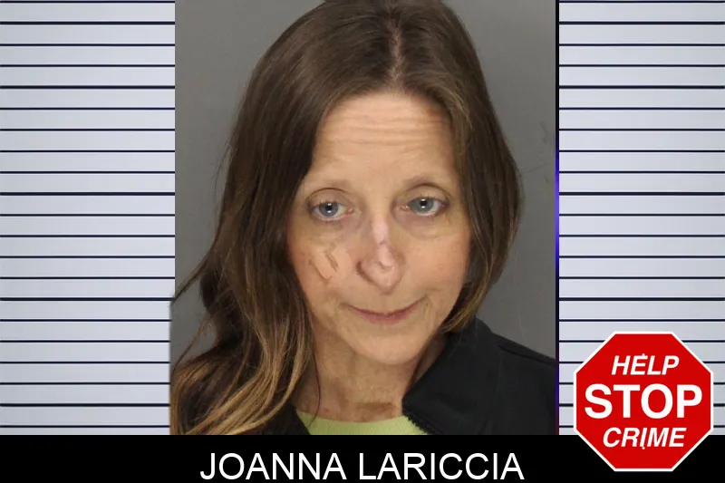 Joanna Lariccia mugshot